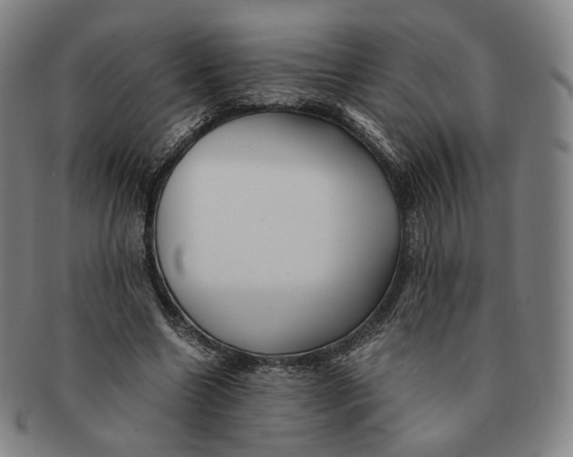 X0000091240538200708301541