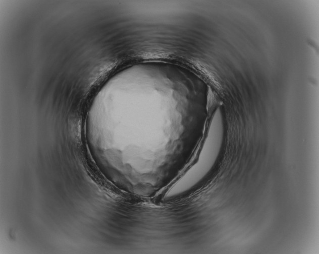 X0000091240539200708301541