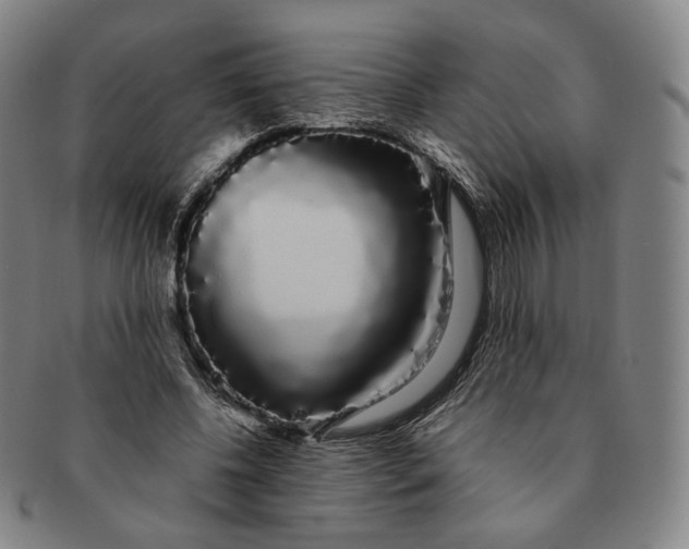 X0000091240540200708301541