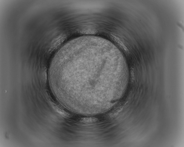 X0000091240541200708301541