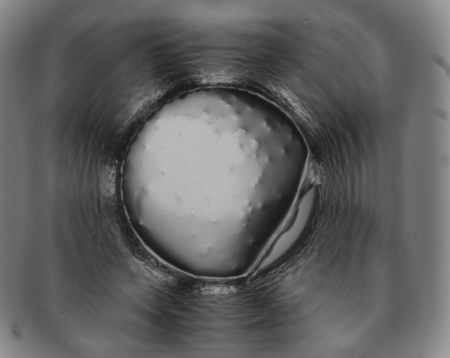 X0000091240543200708301541