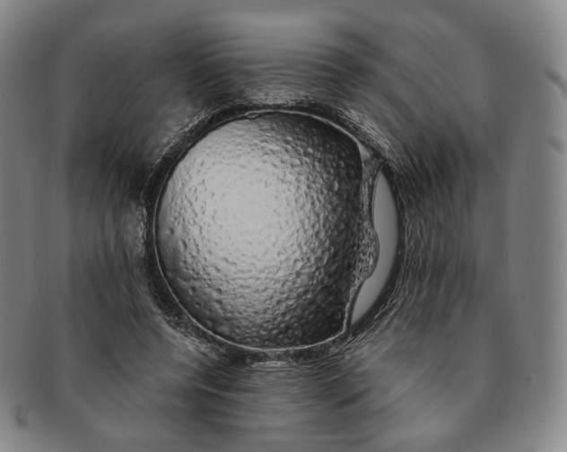 X0000091240544200708301541