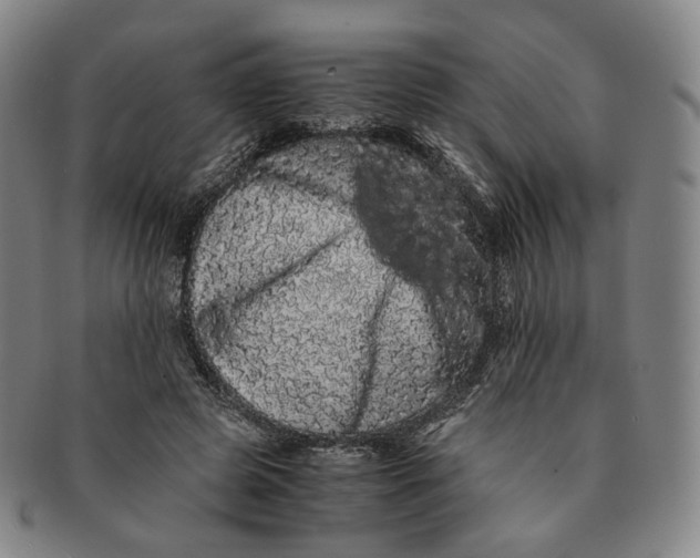 X0000091240545200708301541