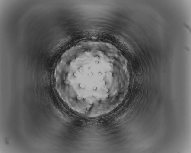 X0000091240546200708301541