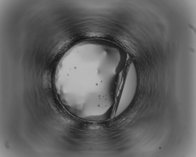 X0000091240547200708301541