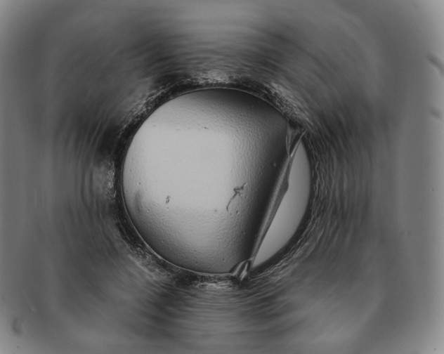 X0000091240548200708301541