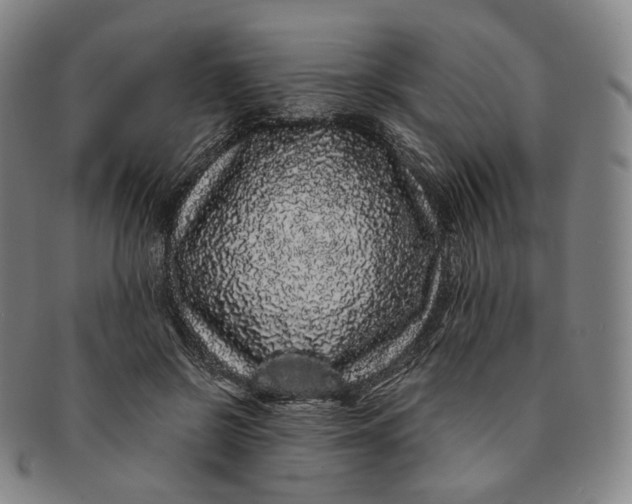 X0000091240550200708301541