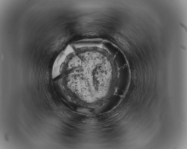 X0000091240551200708301541