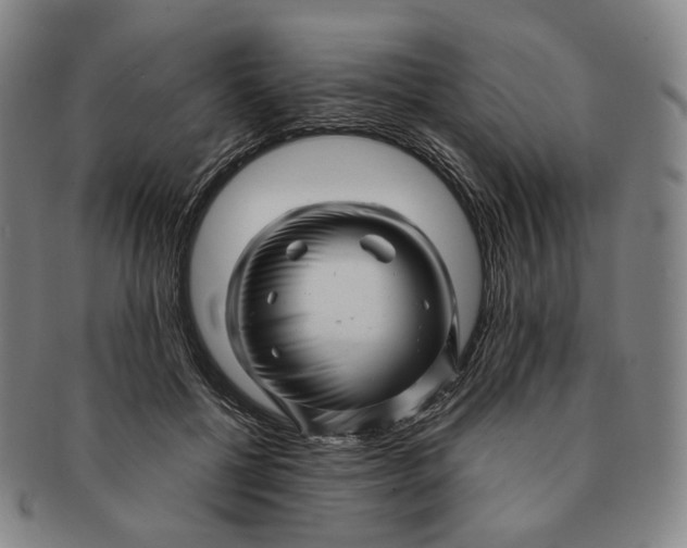 X0000091240552200708301541