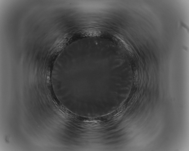 X0000091240553200708301541