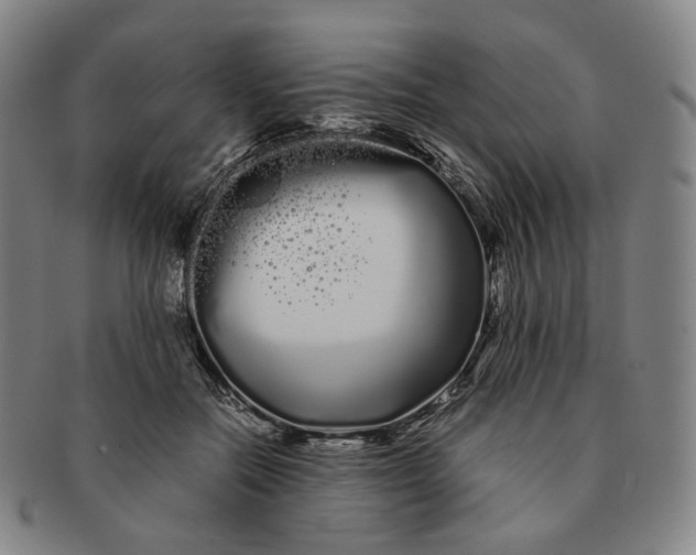 X0000091240554200708301541