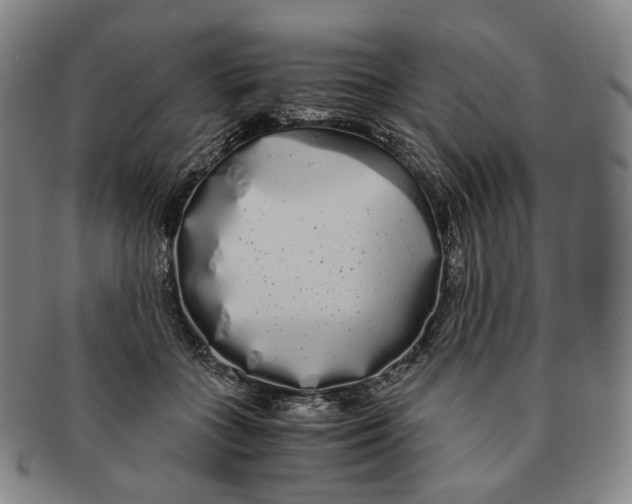 X0000091240555200708301541