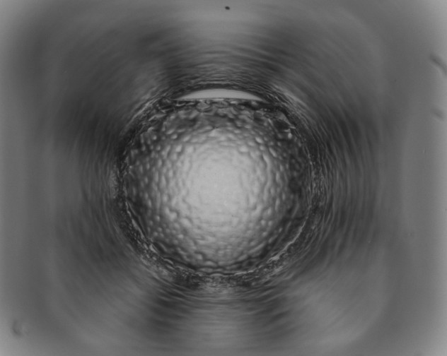 X0000091240556200708301541