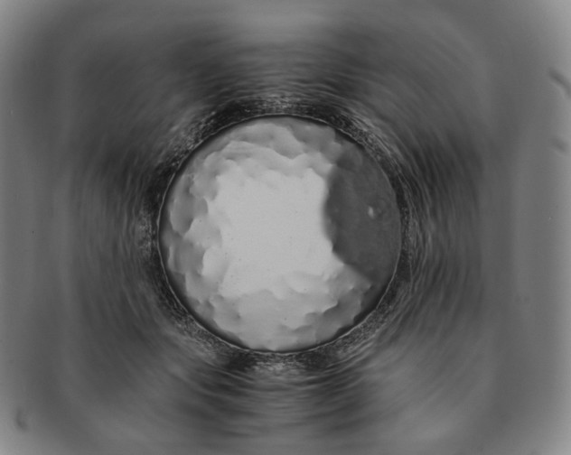 X0000091240557200708301541