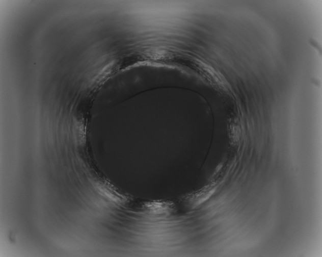 X0000091240558200708301541