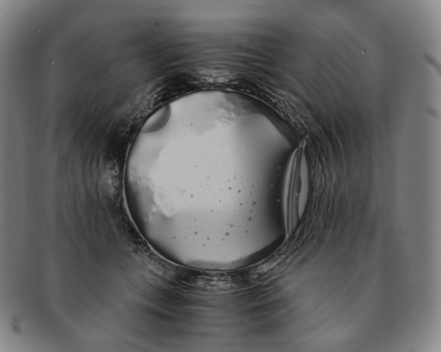 X0000091240559200708301541