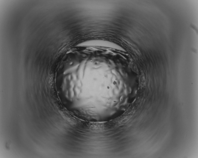 X0000091240560200708301541