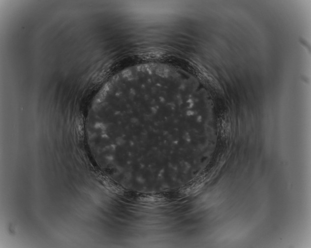 X0000091240561200708301541