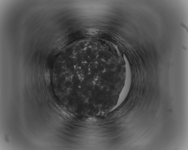 X0000091240562200708301541