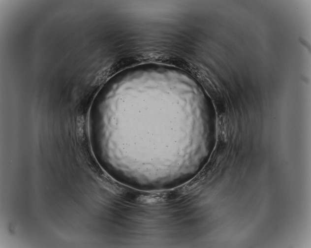 X0000091240563200708301541