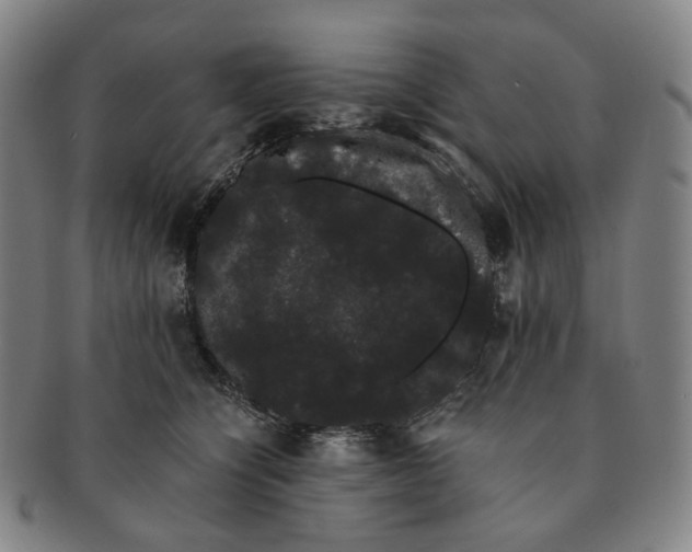 X0000091240564200708301541