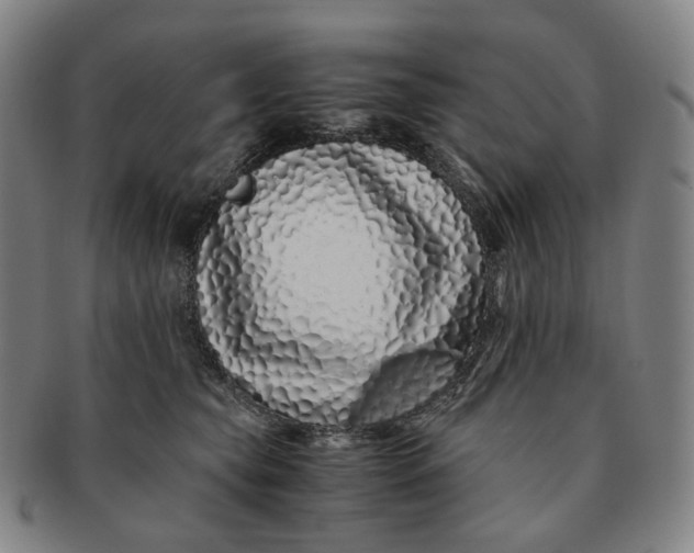 X0000091240565200708301541