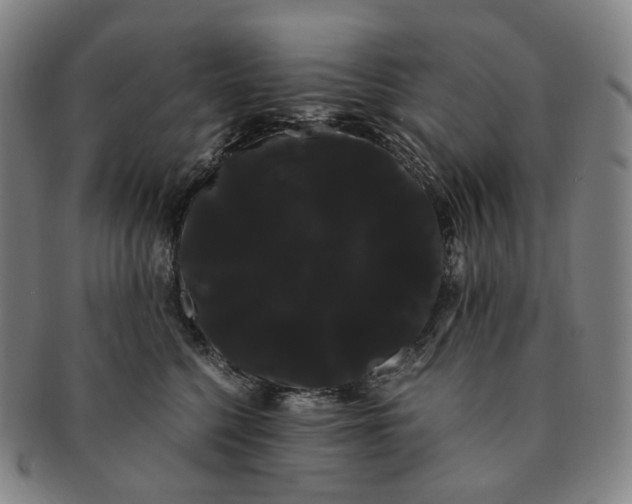 X0000091240568200708301541