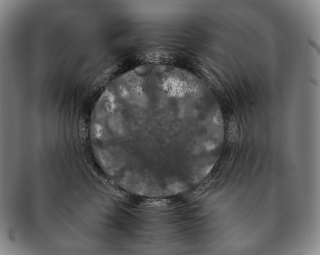 X0000091240569200708301541