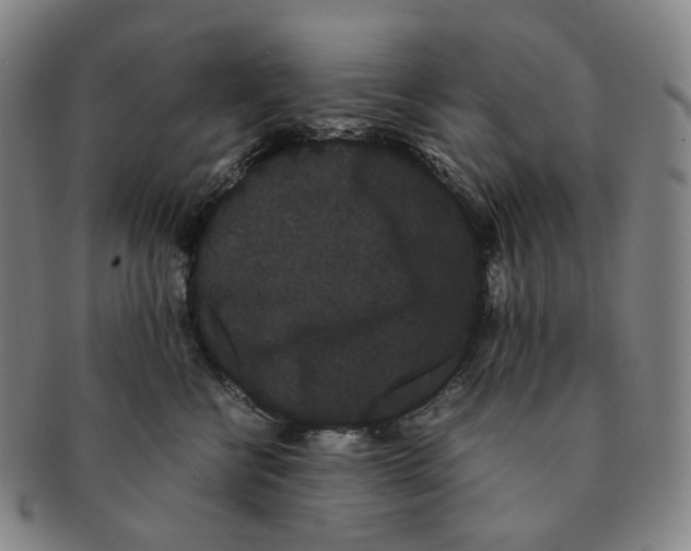 X0000091240570200708301541