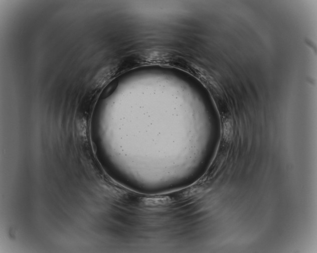 X0000091240571200708301541