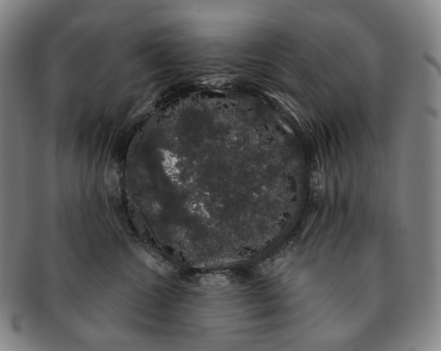 X0000091240572200708301541