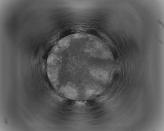 X0000091240573200708301541