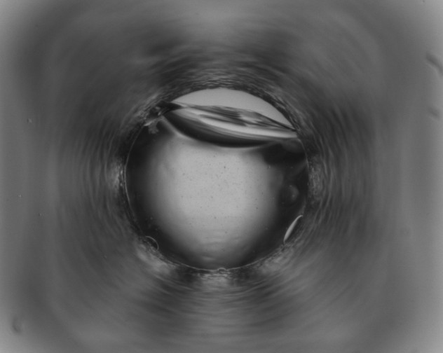 X0000091240574200708301541