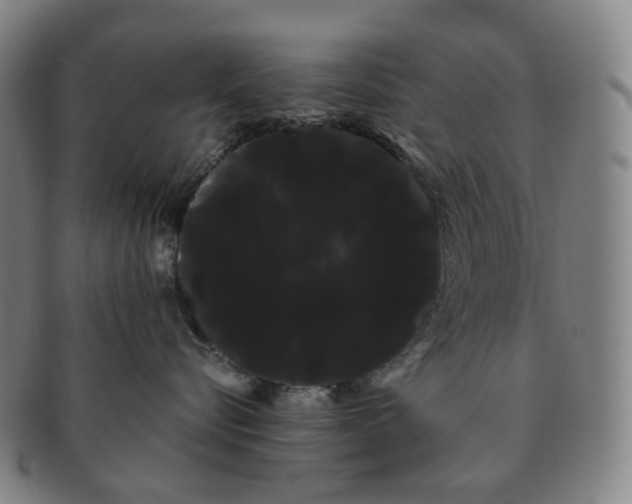 X0000091240576200708301541