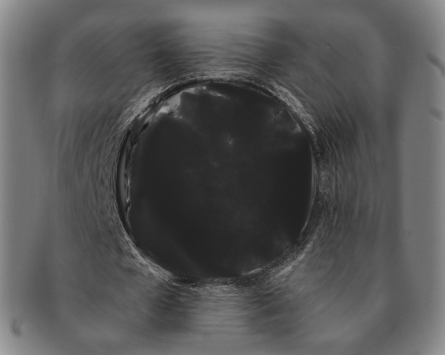 X0000091240577200708301541