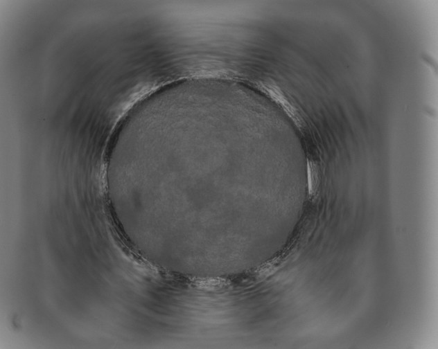 X0000091240579200708301541