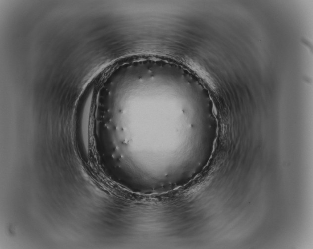 X0000091240580200708301541