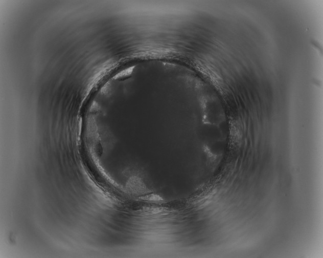 X0000091240582200708301540