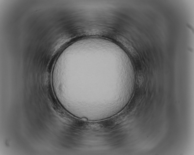 X0000091240583200708301540