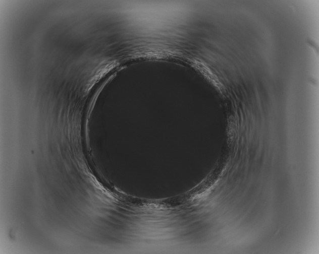 X0000091240585200708301540