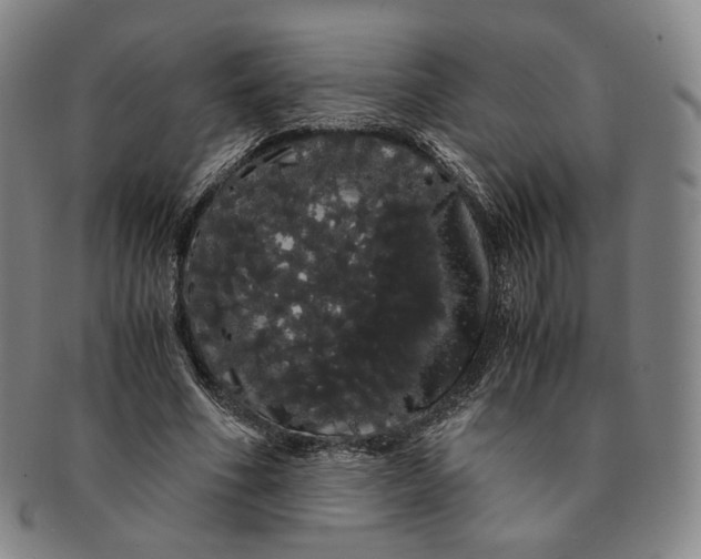 X0000091240586200708301540