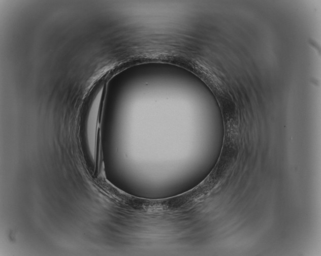 X0000091240587200708301540