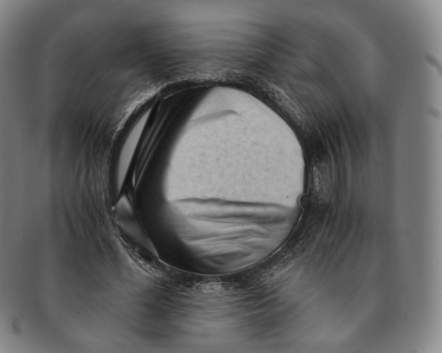 X0000091240588200708301540