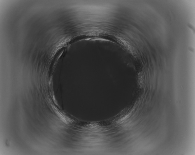 X0000091240589200708301540