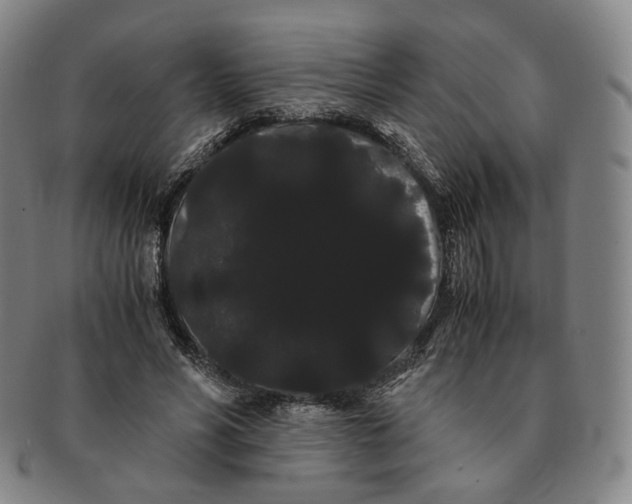 X0000091240590200708301540