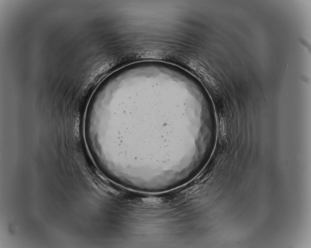 X0000091240591200708301540