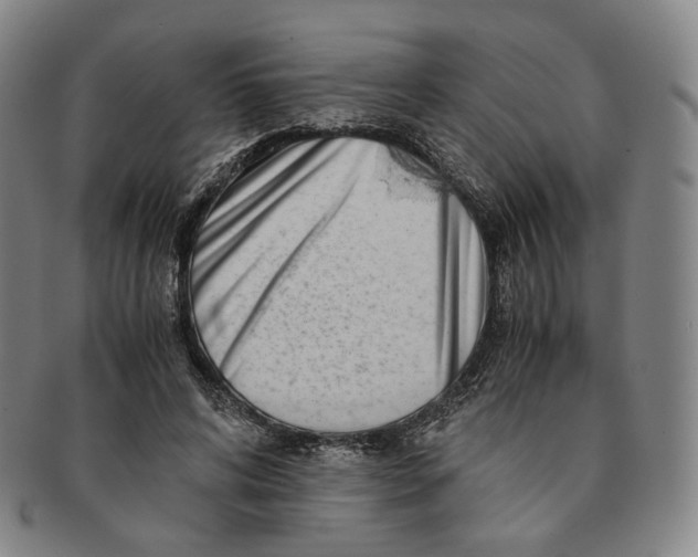 X0000091240592200708301540