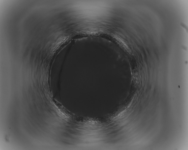 X0000091240593200708301540