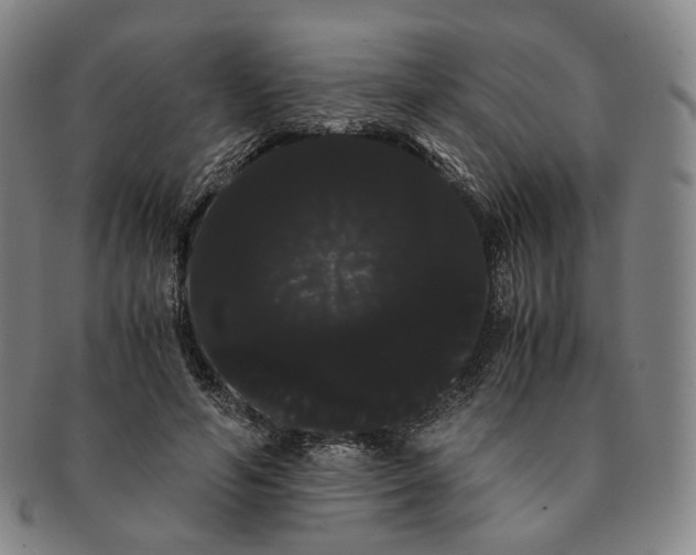 X0000091240594200708301540