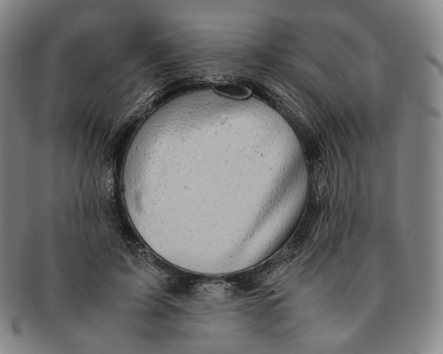 X0000091240595200708301540